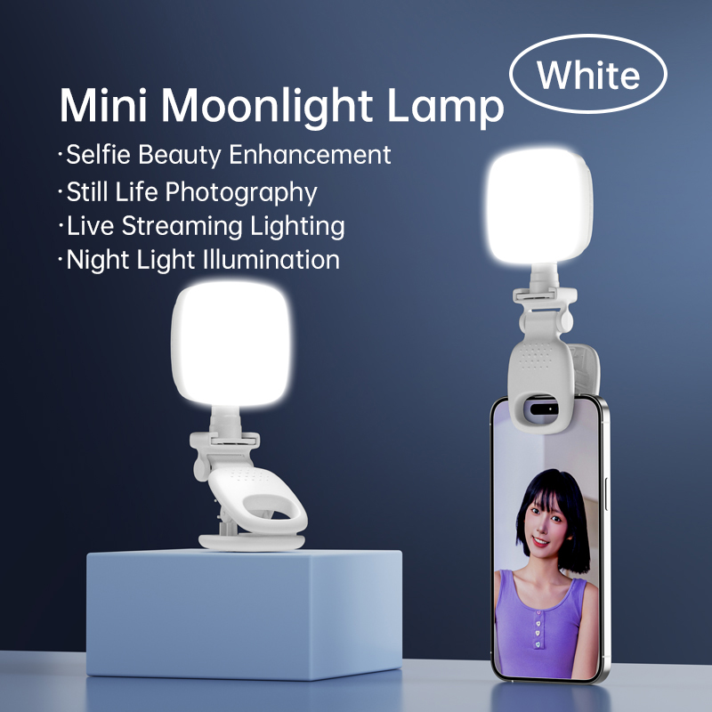 Lighting Gallery - Portable LED Selfie lumière caméra Mini