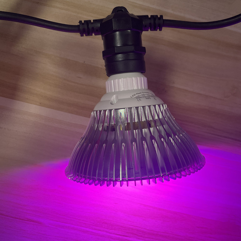 Guirlande lumineuse LED de 10M - Outdoor Lighting Wedding Decor avis et prix