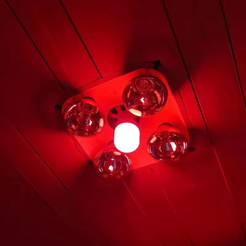 Nouvelle ampoule LED rouge hau - Lighting Christmas Decor avis et prix